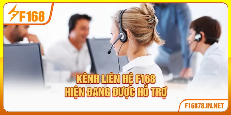 Kênh liên hệ F168 hiện đang được hỗ trợ