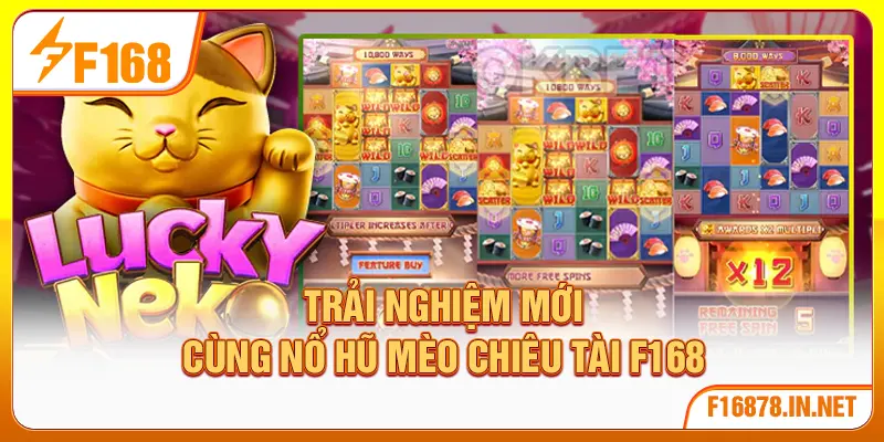Trải nghiệm mới cùng nổ hũ Mèo Chiêu Tài F168