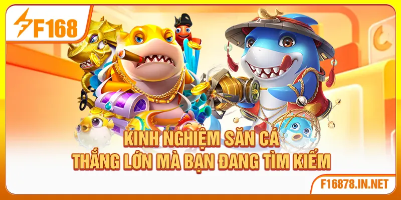 Kinh nghiệm săn cá thắng lớn mà bạn đang tìm kiếm